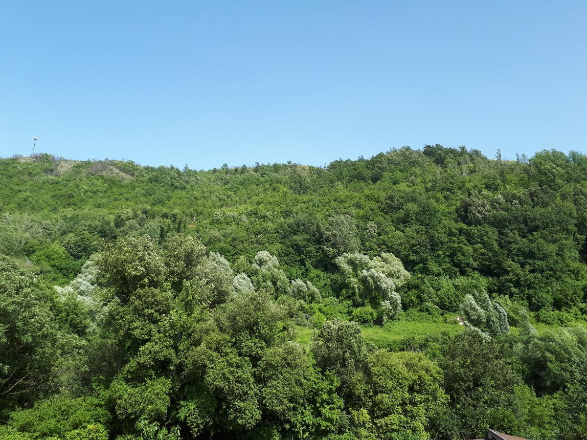 Hotel Edelweiss Laino Borgo Zewnętrze zdjęcie